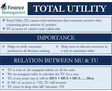 total utility formula|Total Utility .